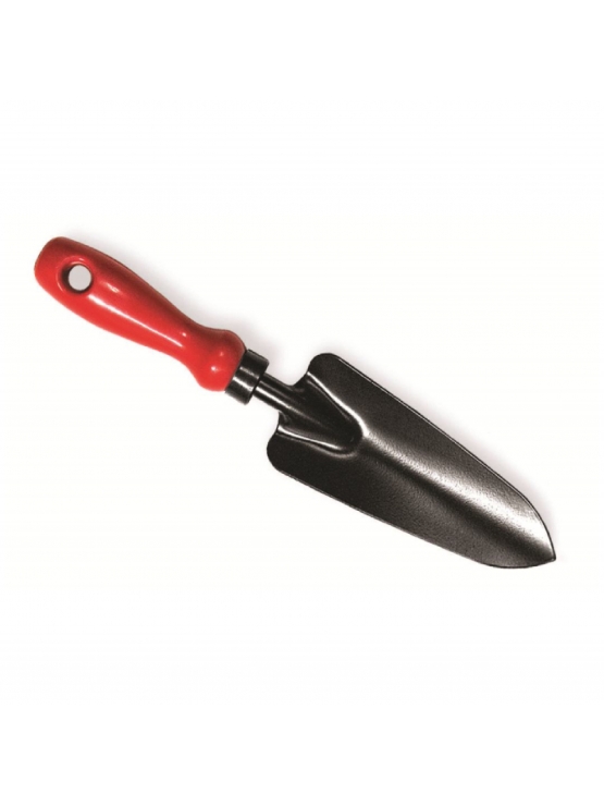 TRANSPLANTER